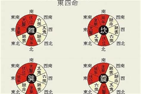 東四命 西四命 算法|东四命西四命速查表 命卦对照表